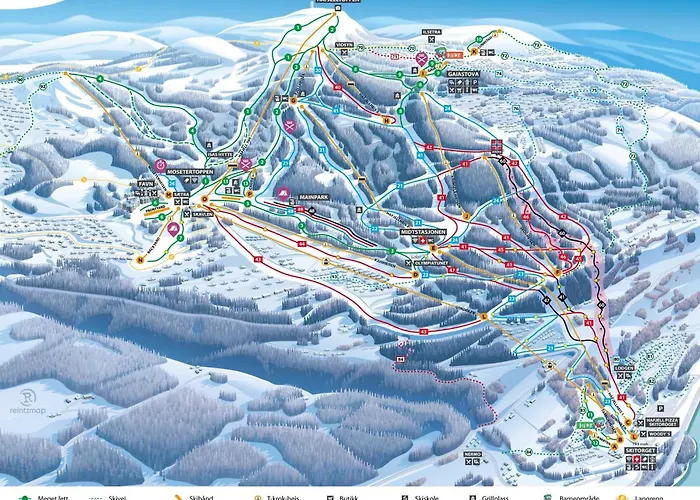 Large Family At With In-ski Out 別荘 *